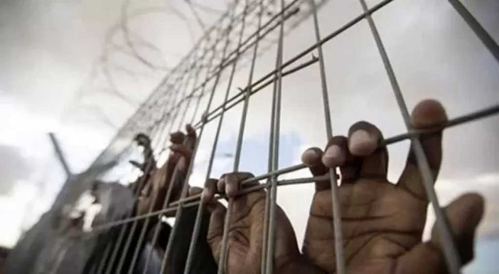 قنابل صوت وكلاب بوليسية.. أسيرة فلسطينية تكشف تفاصيل تنكيل وانتهاكات الاحتلال بحق الأسيرات