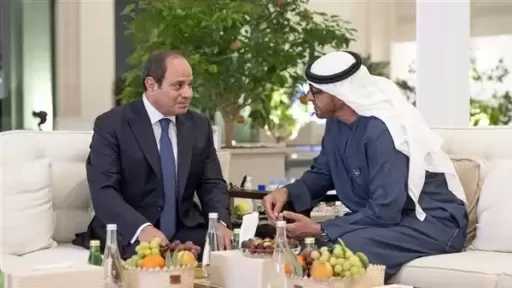 أخبار