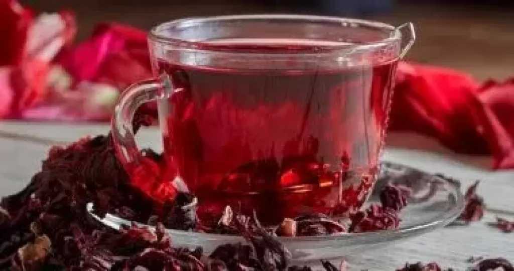 أيهما يخفض ضغط الدم الكركديه المنقوع على البارد أم الساخن؟