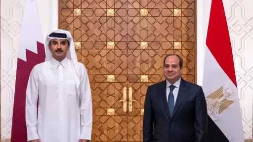 أخبار