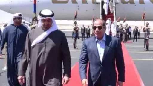 أخبار