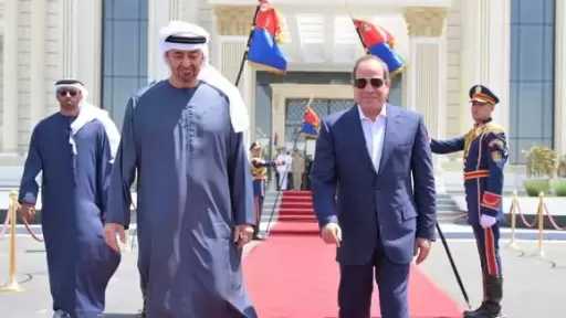 أخبار