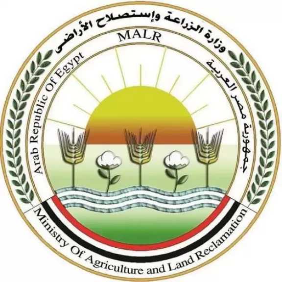 «الزراعة» تواصل حملاتها الاستباقية المشددة لمكافحة «دودة الحشد وحافرة الطماطم»