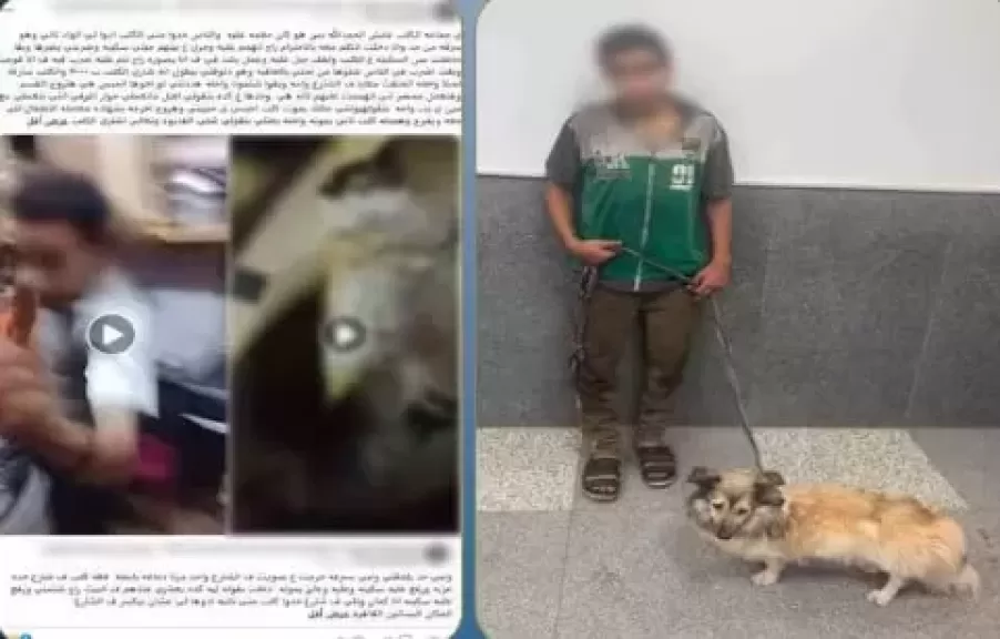 خط أحمر