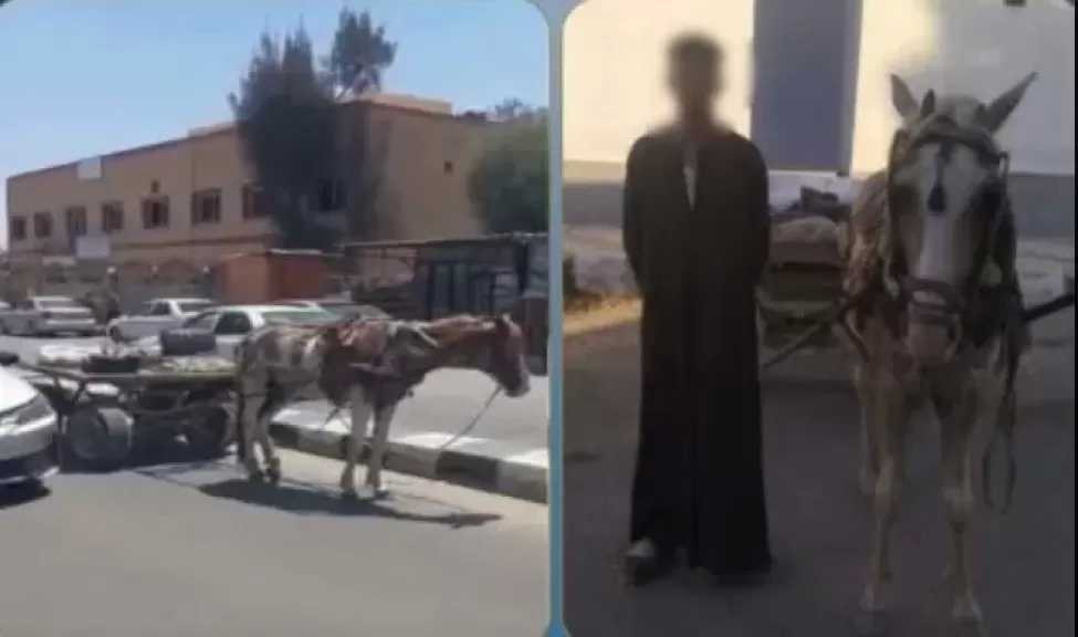 ضبط جامع خردة لتعطيله حركة المرور عمدا أمام مستشفى بشمال سيناء