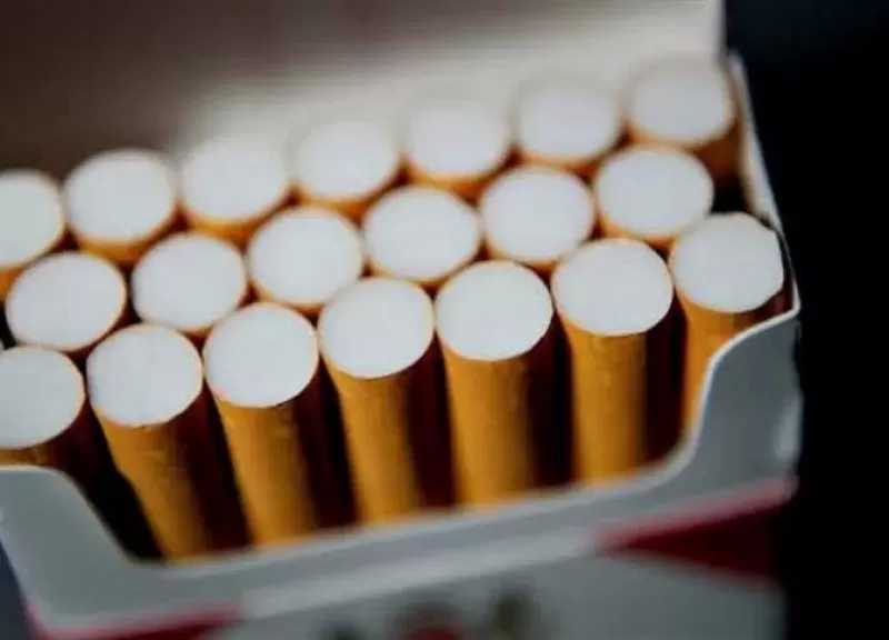 رئيس شعبة الدخان عن شراء السجائر المهربة: «أنا ليه أجازف بصحتي ما كفاية إن هي مضرة»