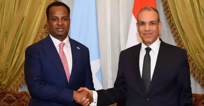 وزير الخارجية يطالب الصومال بسرعة الإفراج عن البحارة المصريين المختطفين وضمان سلامتهم