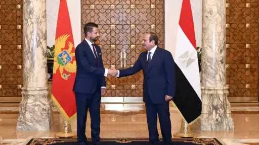 أخبار