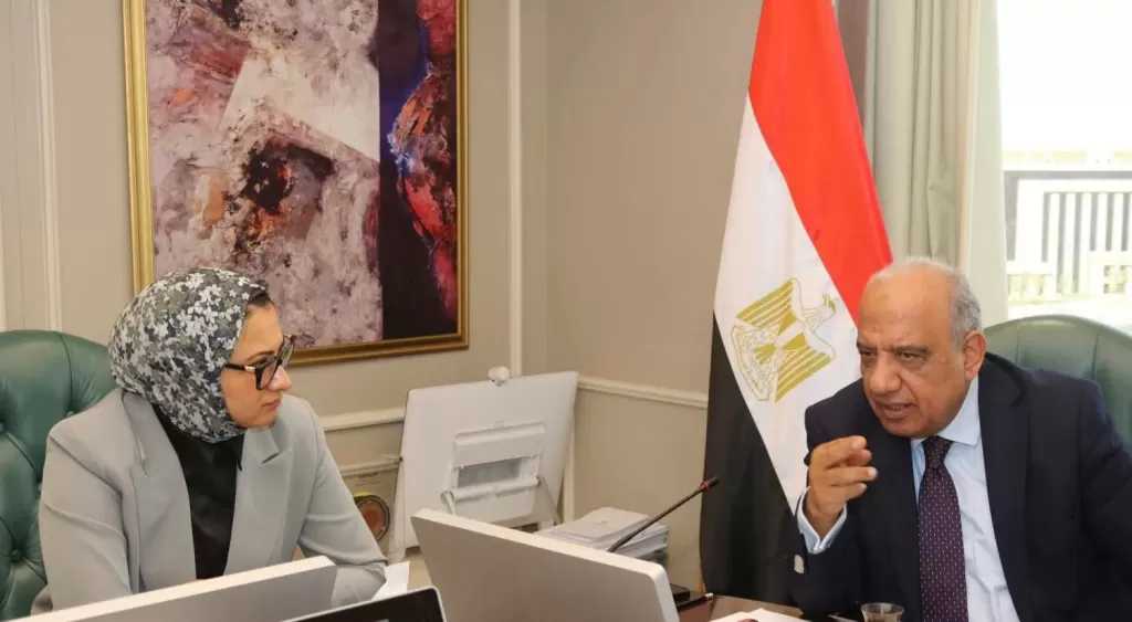 وزير الكهرباء يبحث مع محافظ الوادي الجديد سبل دعم الاعتماد على الطاقات المتجددة وتعزيز الشبكة وتأمين التغذية الكهربائية اللازمة
