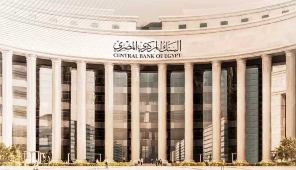 البنك المركزي: تراجع حصة القطاع الخاص من القروض إلى 41.2%