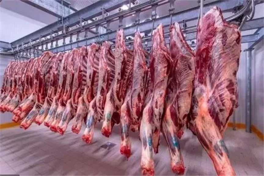أسعار اللحوم اليوم الأربعاء في الأسواق