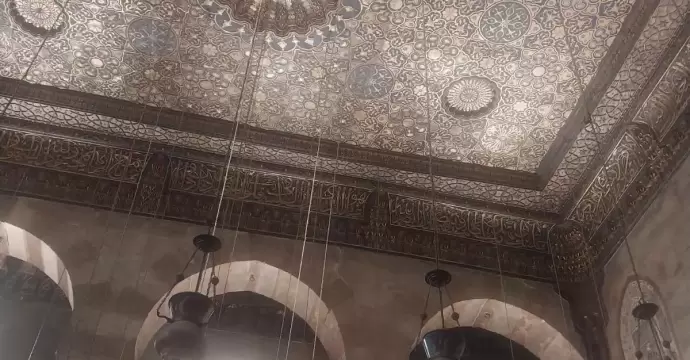 مجلس الوزراء يوضح حقيقة ”فيديو الخفافيش” بالظاهر برقوق بشارع المعز