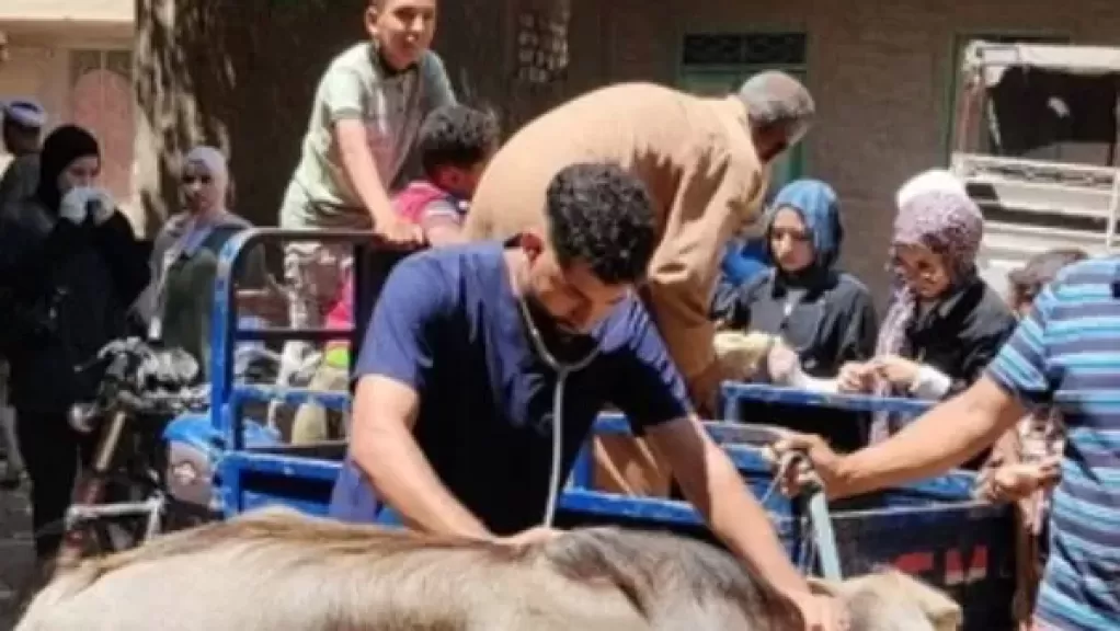 خط أحمر
