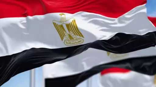 مصر تعرب عن تضامنها مع الجزائر الشقيقة في مواجهة حرائق الغابات