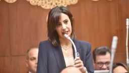 النائبة يوستينا رامي: ثورة 23 يوليو أسست لسياسة مصر الخارجية المستقلة ودعمت حرية الشعوب