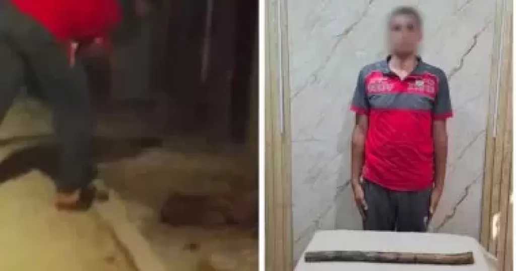 الداخلية تضبط المتهم بضرب كلب بعصى حتى وفاته فى الغربية