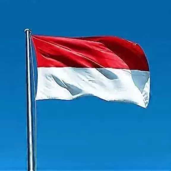 إندونيسيا تدعو البريكس لمواجهة تحولات التجارة العالمية