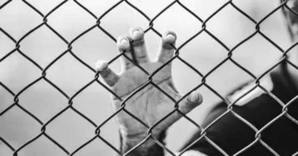 تفاصيل حكم السجن المشدد للمتهمين في قضية طفل باسوس.. وبراءة 3 متهمين