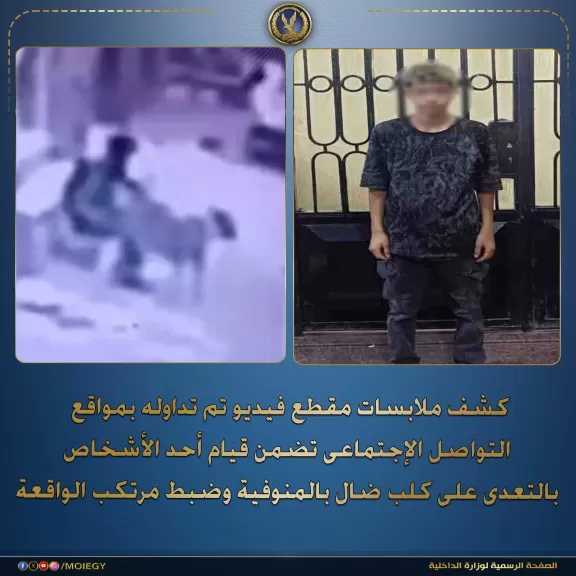 الداخلية تضبط المتهم بالتعدي على كلب في المنوفية