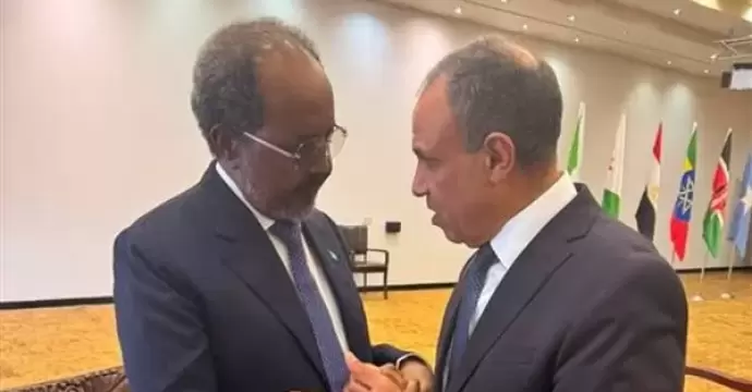 وزير الخارجية يلتقي الرئيس الصومالي على هامش قمة الدول المساهمة بقوات بعثة الاتحاد الإفريقي
