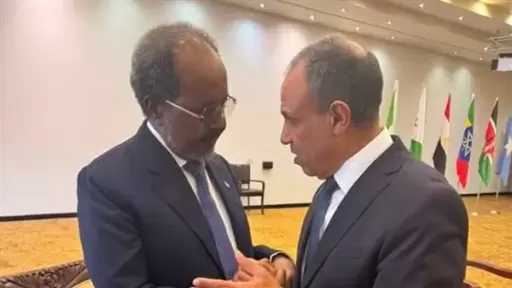 أخبار