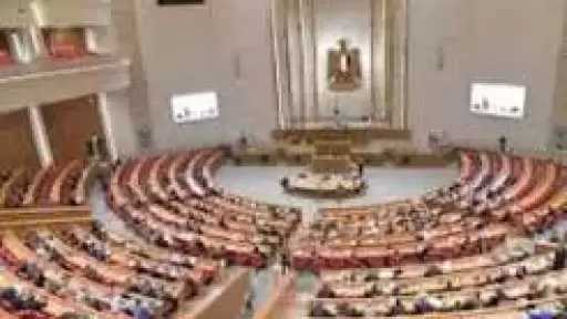 نائبة: الدولة المصرية قادرة علي التعامل مع كافة التحديات والأزمات