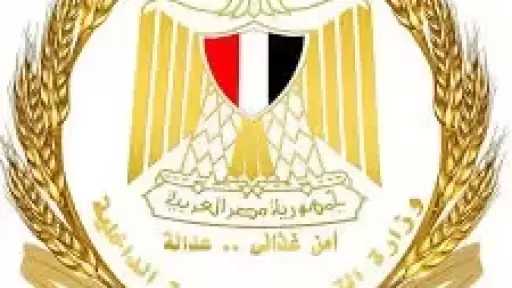 التموين: 1000 مخالفة بالمخابز السياحية منذ بداية 2026