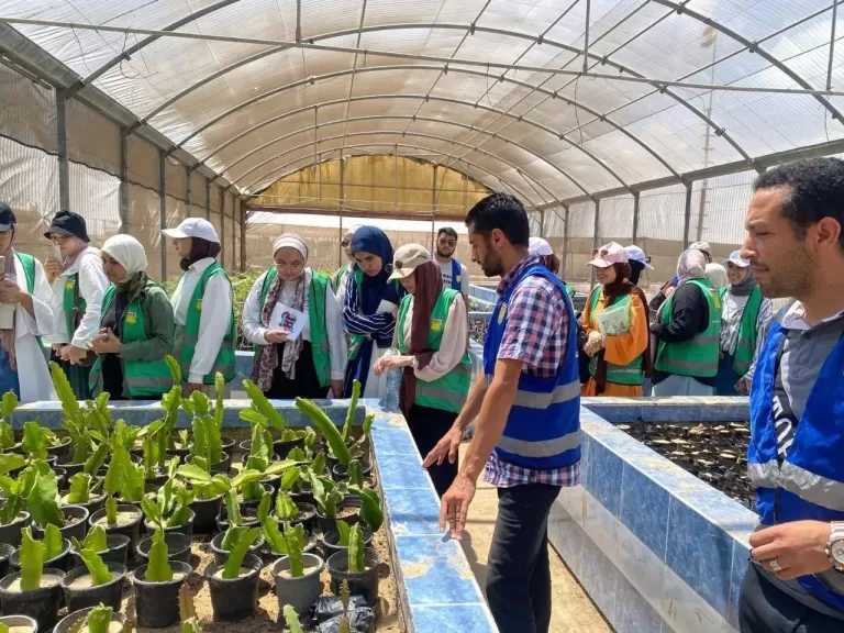 الزراعة تستعرض الجهود والأنشطة البحثية والتنموية لمركز بحوث الصحراء خلال يوليو 2026
