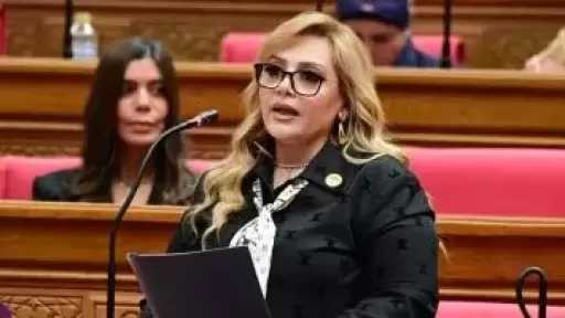 النائبة هبة غالى: مصر حذرت مبكرا.. والعالم يراجع اليوم أنشطة الإخوان