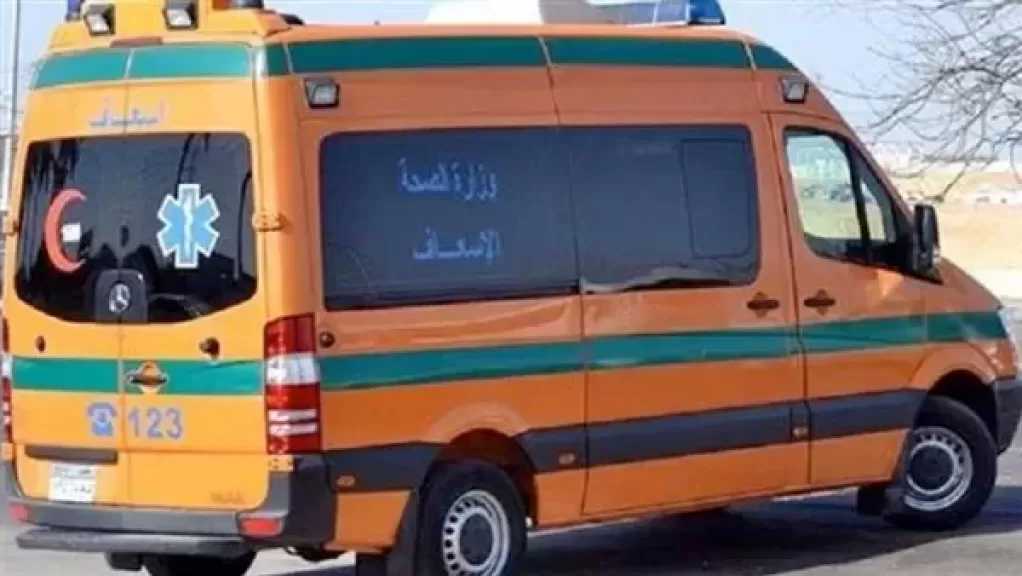 مصرع عامل وإصابة 9 آخرين في انقلاب سيارة بالشرقية