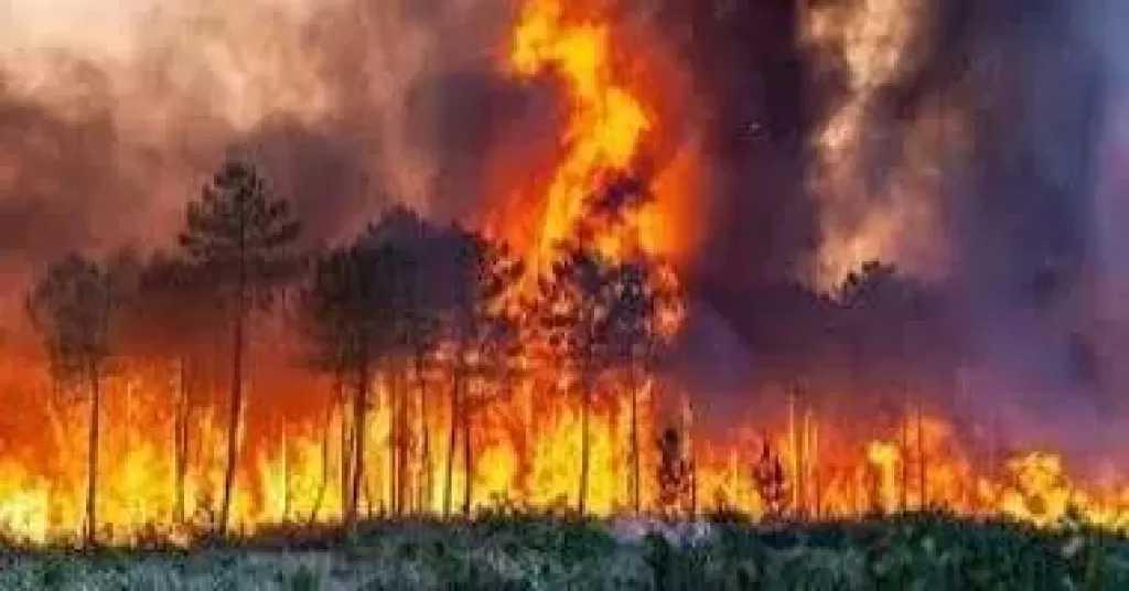 حرائق أثينا تهدأ بعد 5 أيام.. واستمرار اندلاع بؤر جديدة في مناطق متفرقة