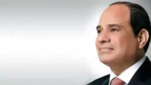 دينية النواب: اهتمام الرئيس بالأمن الغذائى يؤكد أن حماية المواطن تتصدر الأولويات