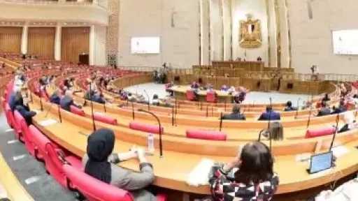 برلمانى: توجيهات الرئيس السيسى بتحقيق الاكتفاء الذاتى من السلع يعزز أمن الغذاء