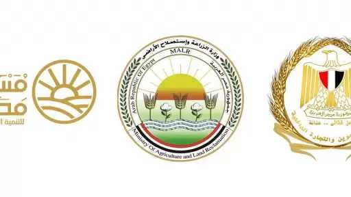 الشركة القابضة للصناعات الغذائية تتولى توفير وإمداد جميع المنافذ المشاركة باحتياجاتها من السكر الحر