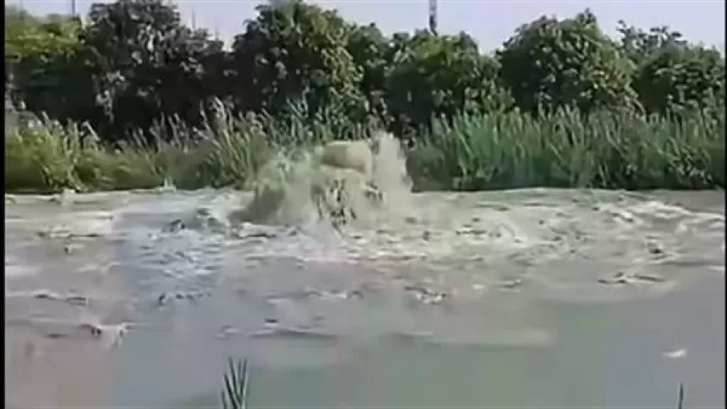 خط أحمر