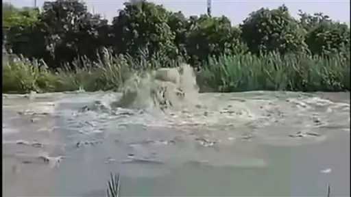 أخبار