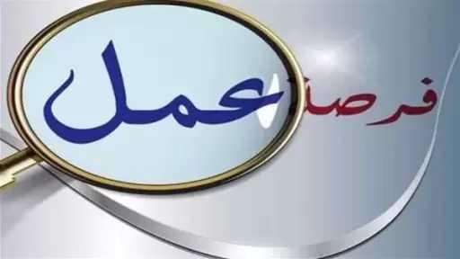 وزارة العمل تعلن عن وظائف في مجالات الأمن والنظافة والسائقين.. التفاصيل