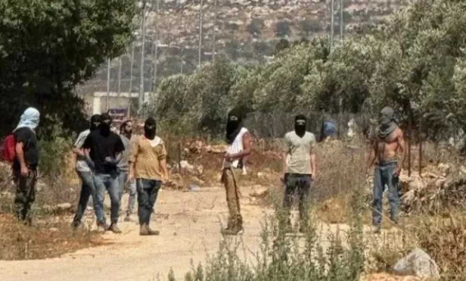 مستوطنون يقتحمون 3 قرى في محافظة نابلس شمال الضفة الغربية