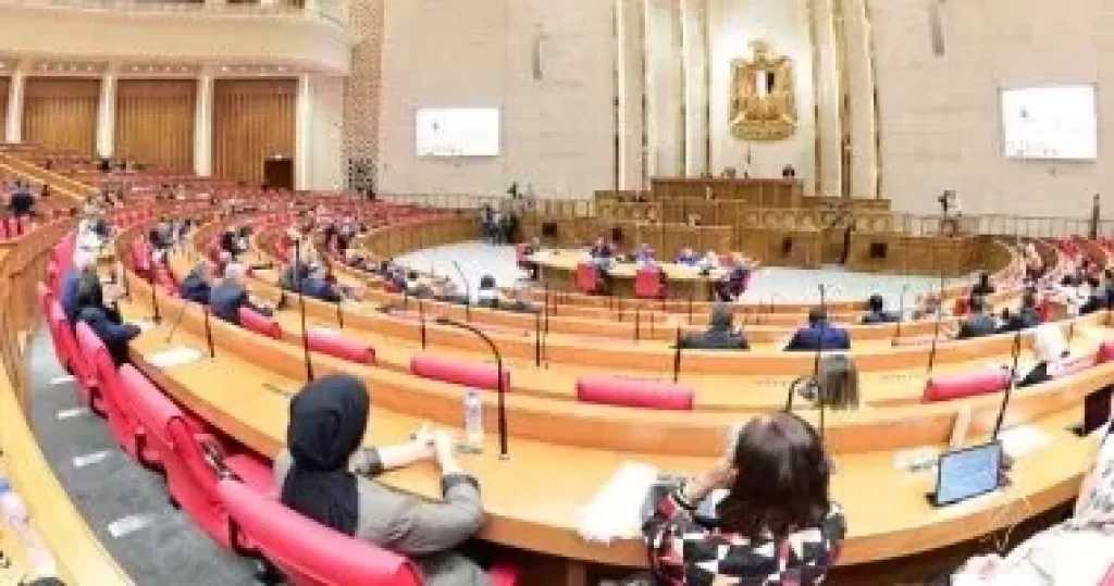 النائبة سهير كريم: توجيهات الرئيس السيسي تؤسس لمرحلة جديدة فى السوق العقارية