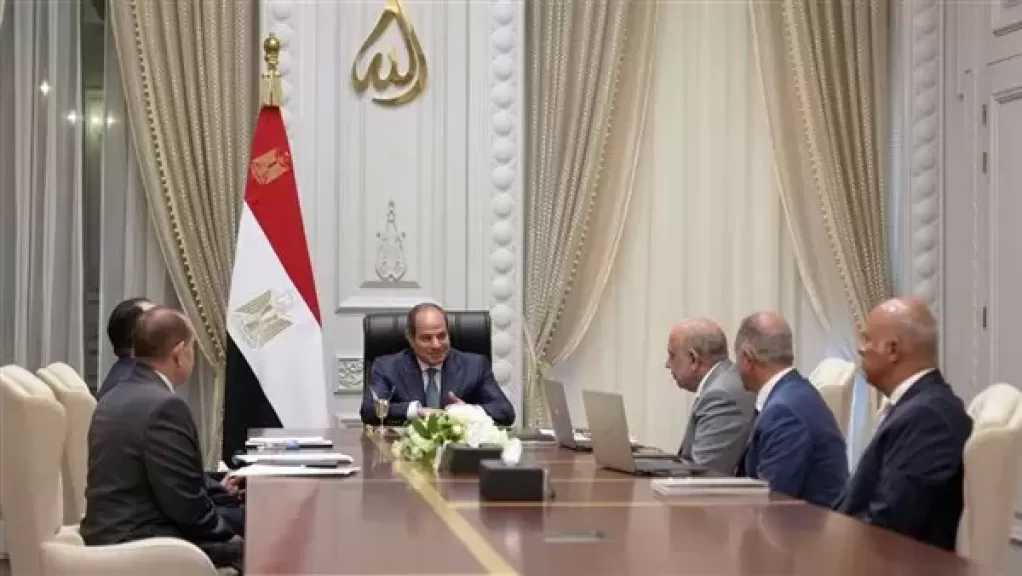 السيسي يناقش مُستجدات تنفيذ الاستراتيجية الوطنية للتوسع في مشروعات الطاقة الجديدة والمُتجددة