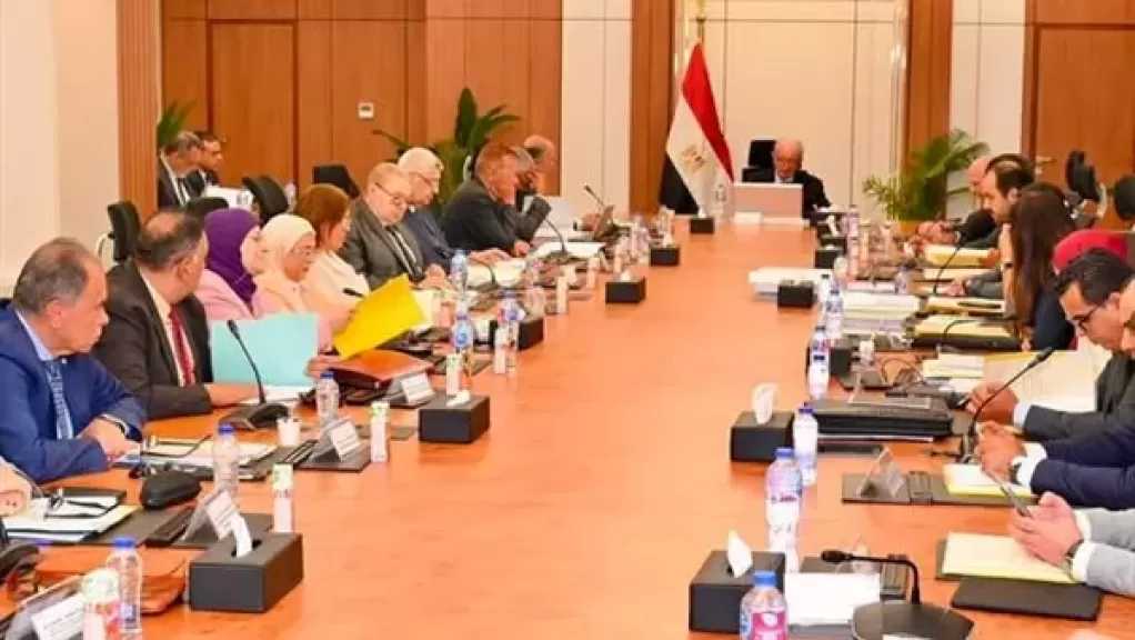 نائب رئيس الوزراء يترأس عمومية ”القابضة للأدوية” لاعتماد الموازنة التقديرية لعام 2026-2027