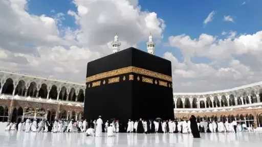 أخبار