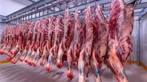 ننشر أسعار اللحوم اليوم الأحد 16 أغسطس