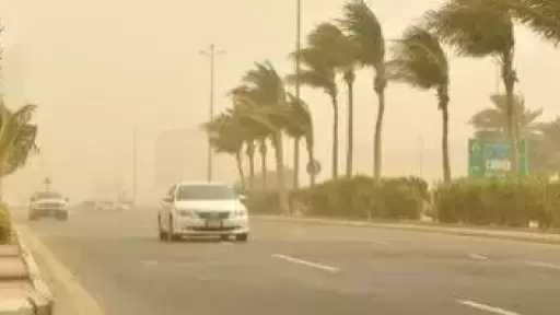 الأرصاد تحذر من نشاط الرياح.. وسرعات تصل إلى 40 كم/س