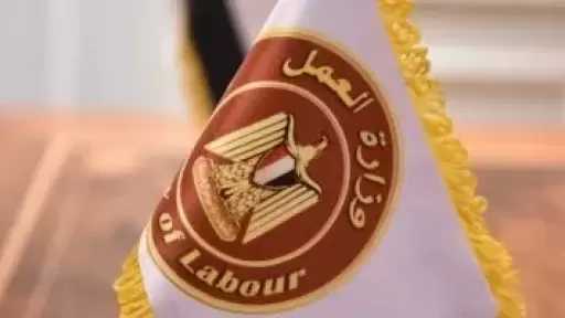وزارة العمل تعلن عن فرص عمل في الأمن والحراسة.. بينها 64 وظيفة أمن نسائي
