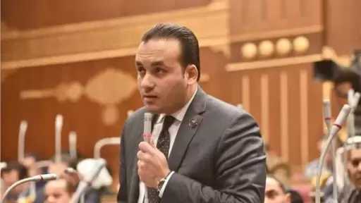 النائب عمرو فهمي: توجيهات الرئيس السيسي بسرعة تنفيذ أحكام دعاوى النفقات يدعم حقوق الأسرة