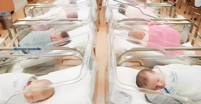 عضو المجموعة الاستشارية لـ”الصحة العالمية”: انخفاض معدل المواليد في مصر يعكس تحسنًا بالمؤشرات السكانية