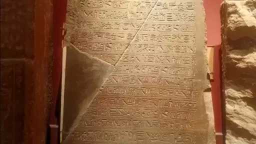 أخبار