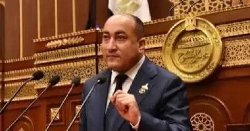النائب عمرو رشاد: مشاركة مصر في افتتاح «جوليوس نيريري» رسالة دعم للتنمية وشهادة نجاح للخبرات المصرية