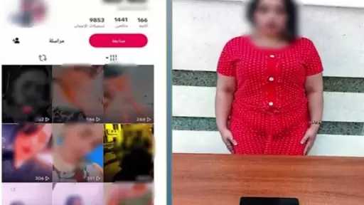 ضبط صانعة محتوى بالدقهلية لنشر فيديوهات خادشة للحياء بهدف الربح